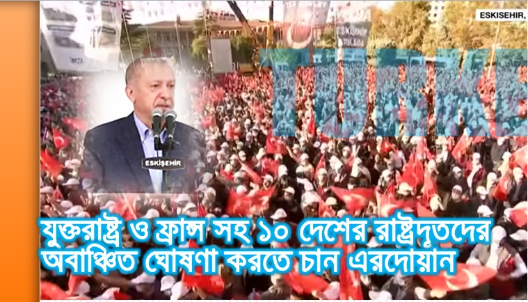 যুক্তরাষ্ট্র ও ফ্রান্স সহ ১০ দেশের রাষ্ট্রদূতদের অবাঞ্চিত ঘোষণা করতে চান এরদোয়ান