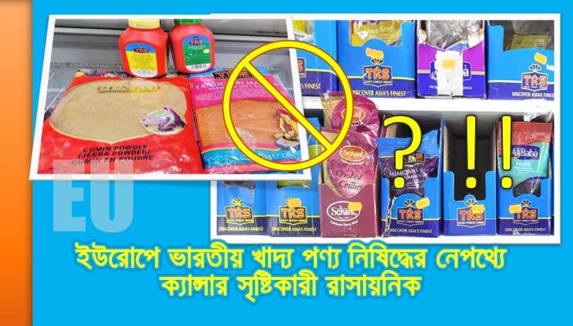 ইউরোপে ভারতীয় খাদ্য পণ্য নিষিদ্ধের নেপথ্যে ক্যান্সার সৃষ্টিকারী রাসায়নিক
