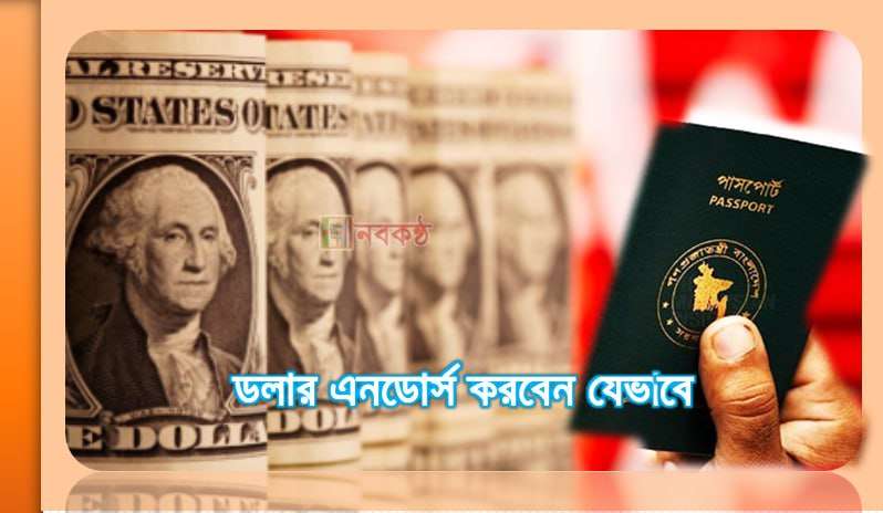 ডলার এনডোর্স করবেন যেভাবে