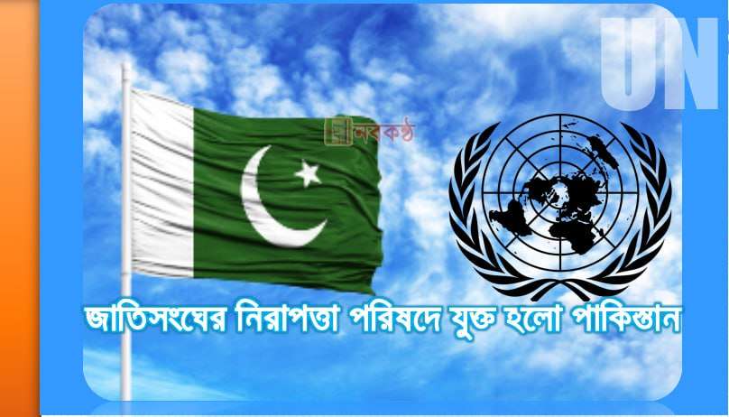 জাতিসংঘের নিরাপত্তা পরিষদে যুক্ত হলো পাকিস্তান
