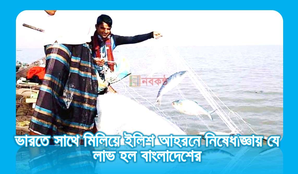 ভারতে সাথে মিলিয়ে ইলিশ আহরনে নিষেধাজ্ঞায় যে লাভ হল বাংলাদেশের
