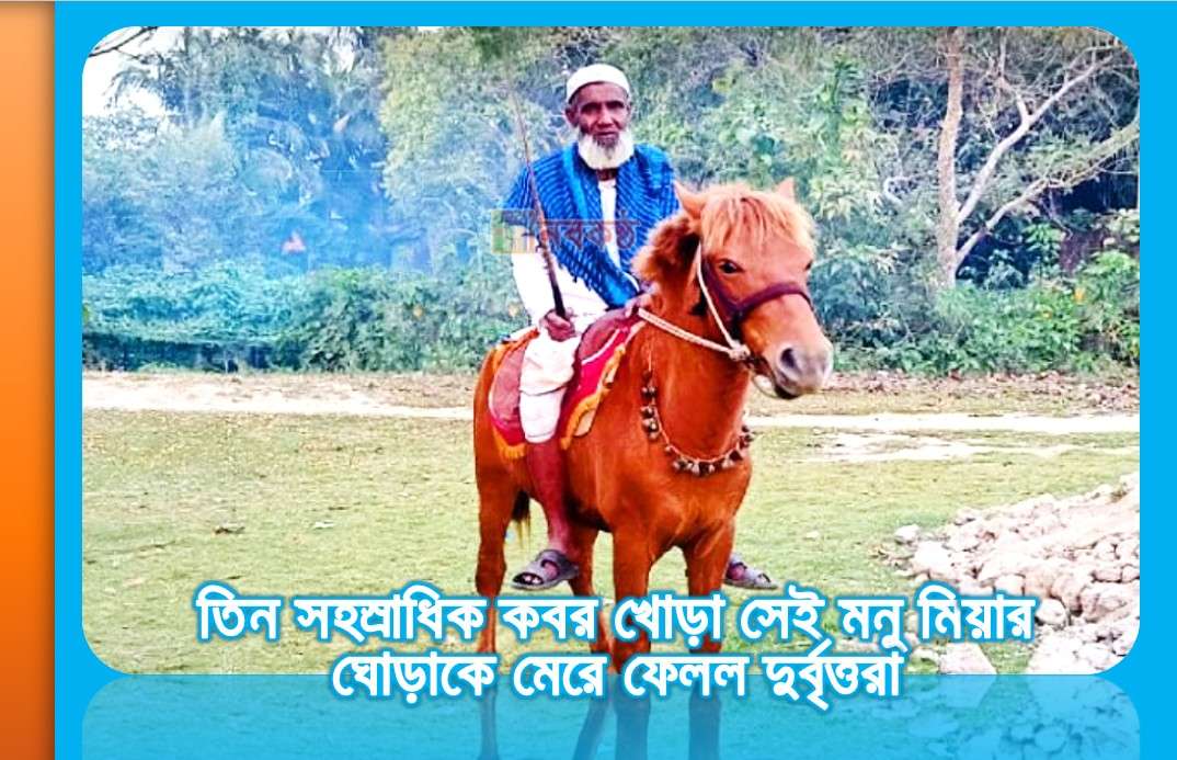 তিন সহস্রাধিক কবর খোড়া সেই মনু মিয়ার ঘোড়াকে মেরে ফেলল দুর্বৃত্তরা